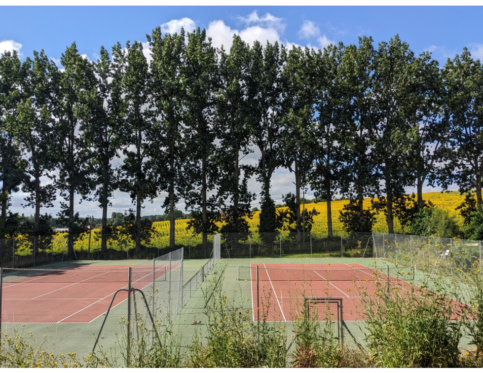 PXL 20240722 083848939