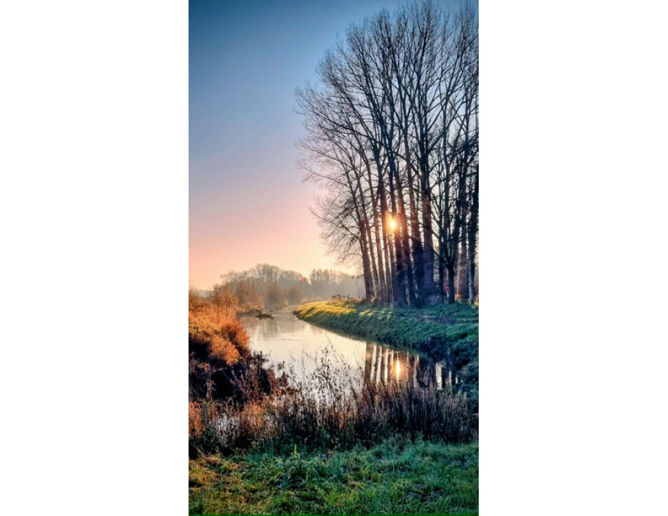 ed100753 d251 4382 b7d6 6c47f648e03e