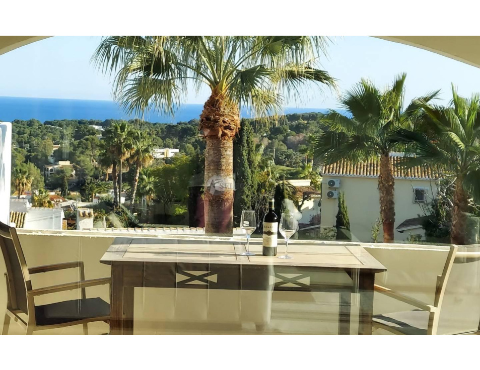 WhatsApp Image 2026 01 05 at 23.50.25