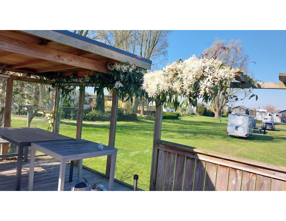 Foto terras en uitkijk camping