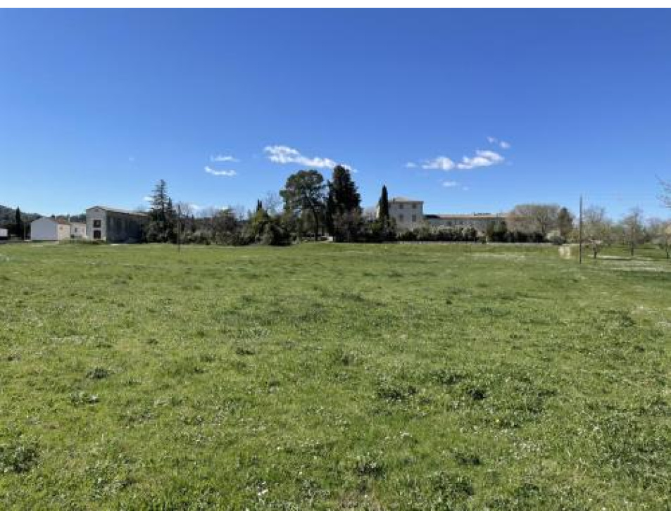 IMG 1995.HEIC compressed