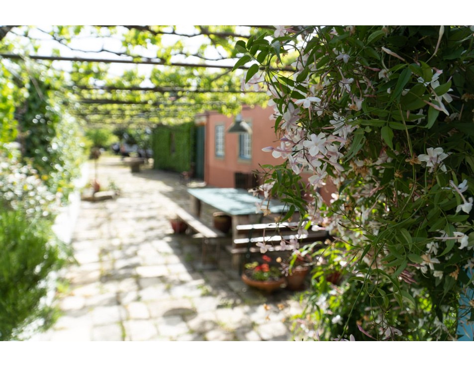 Foto buiten achter keuken