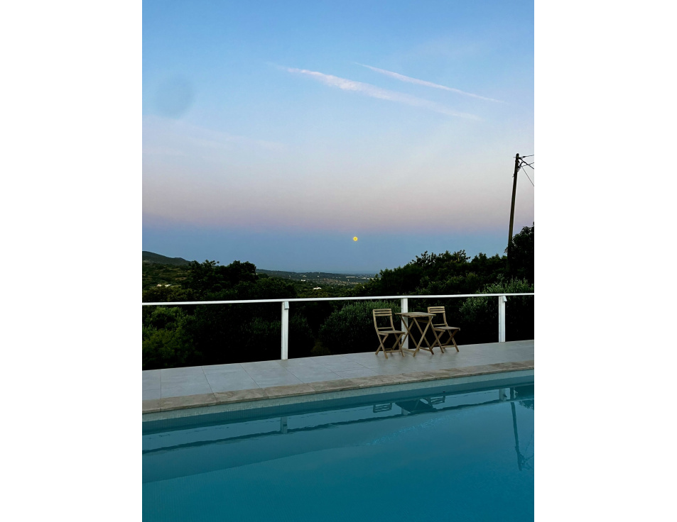 IMG 7329
