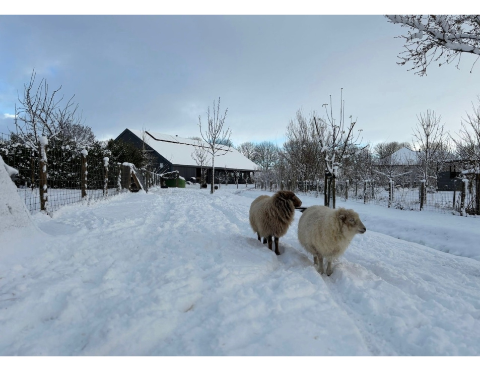 4 d9ecf4c8 9ff9 403a ab8b 0174f9403d20