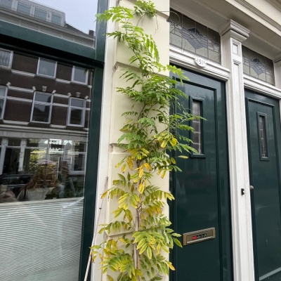 PHOTO 2025 11 15 14 52 39