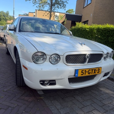 jaguar