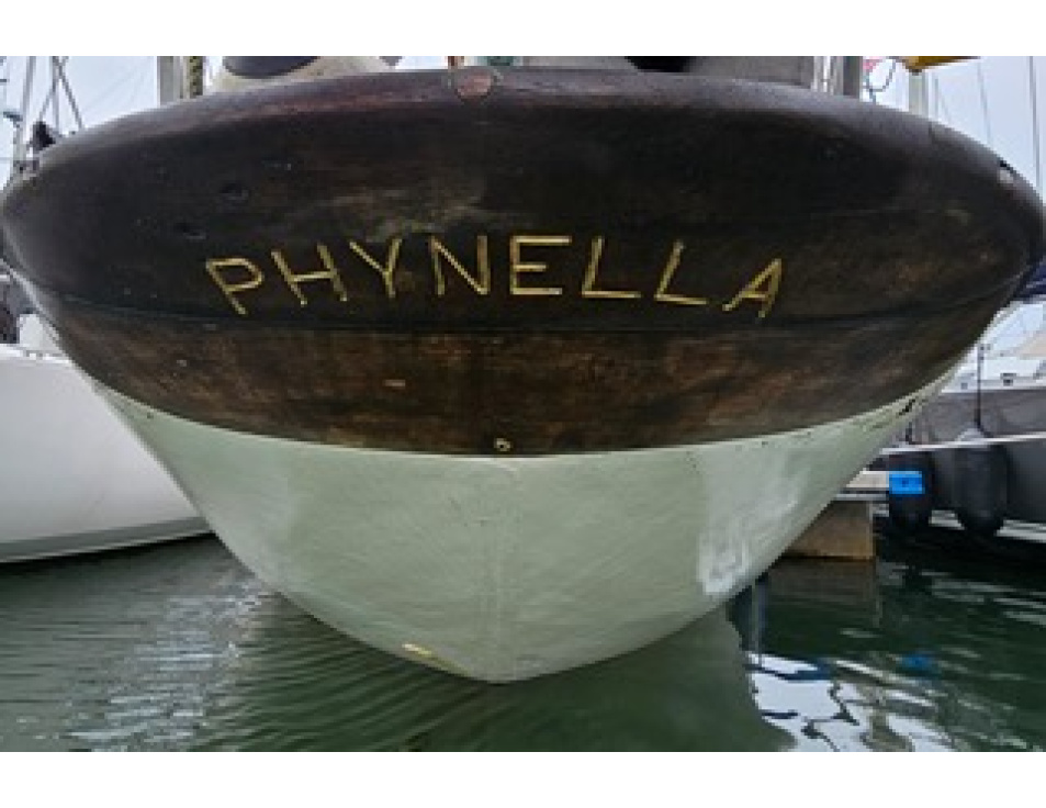 Phynella spiegel  (2)
