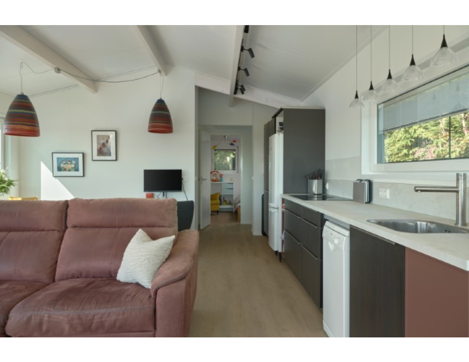 Chalet Houtvaartweg 77 228 Boornzwaag   (15) (Klein)