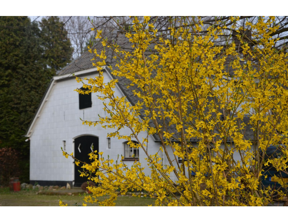 boerderij