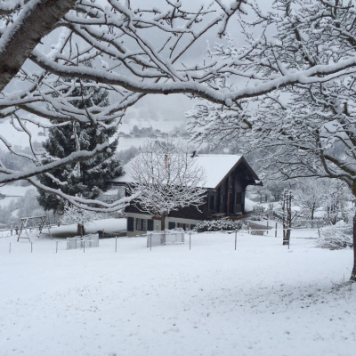 Chalet in Sneeuw 1