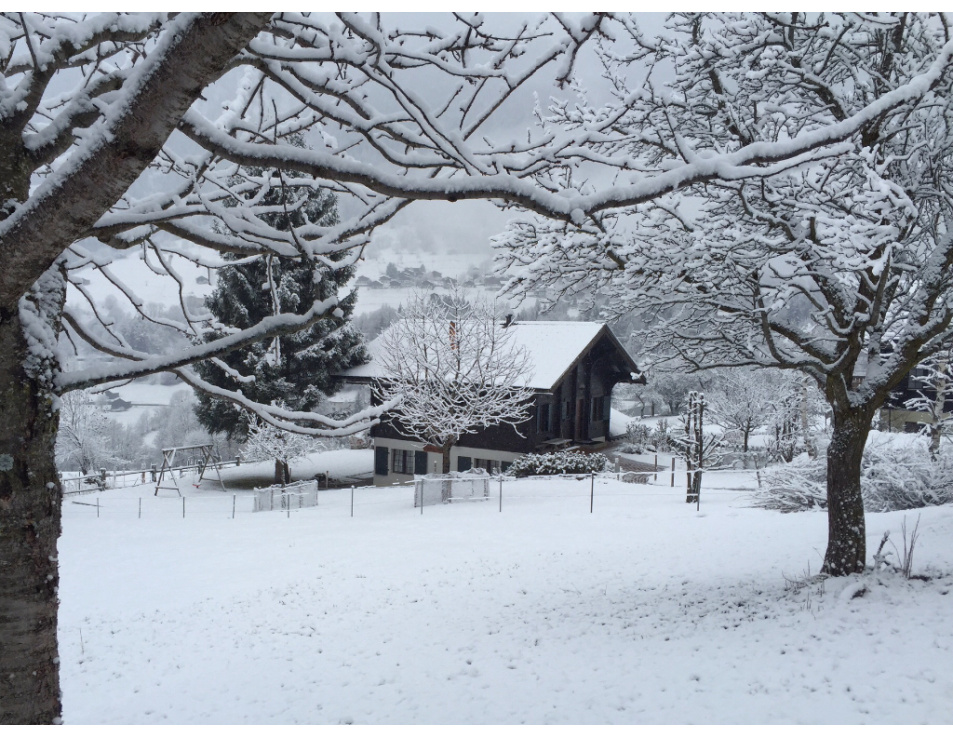 Chalet in Sneeuw 1