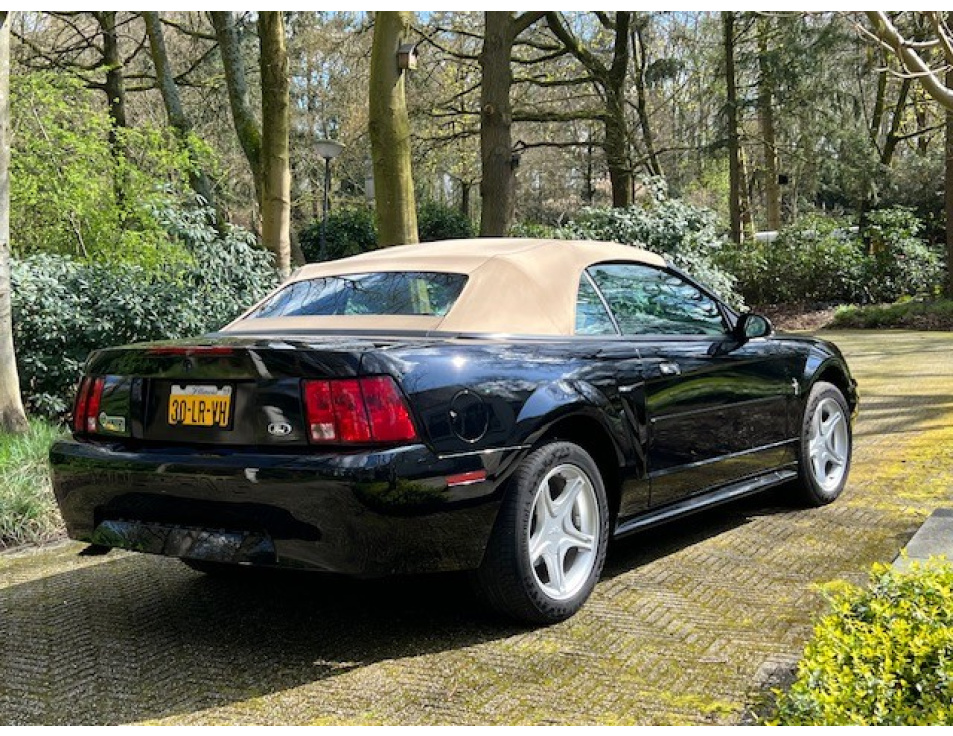 Ford02