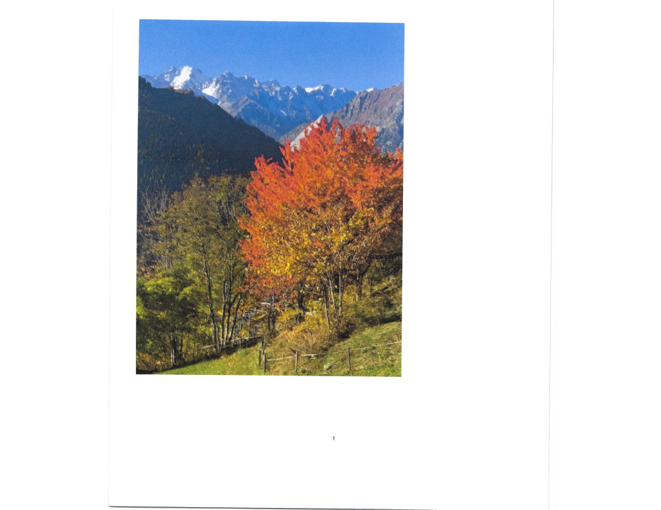 Foto 2025 07 22 114512 (2)