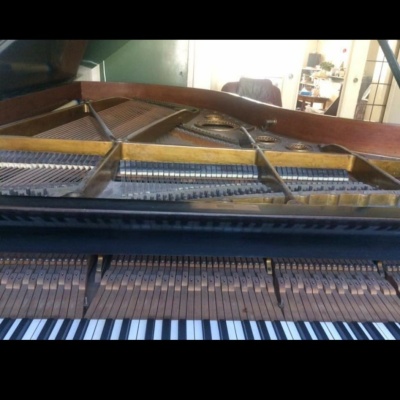 IMG 20230201 WA0000