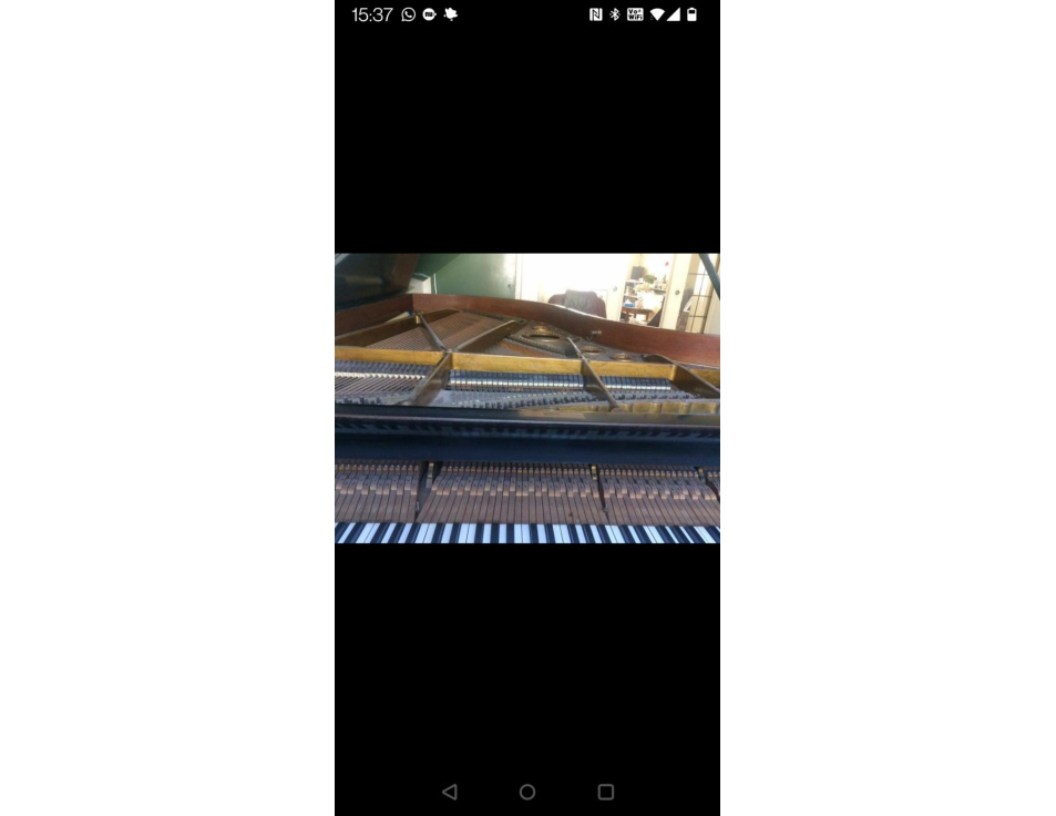 IMG 20230201 WA0000