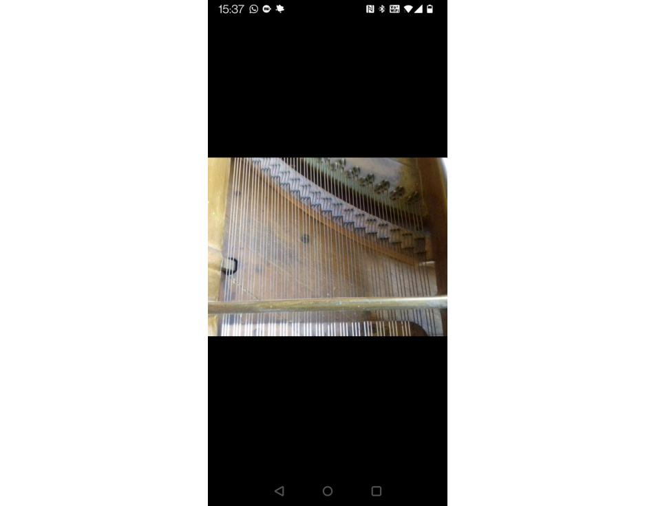IMG 20230201 WA0001