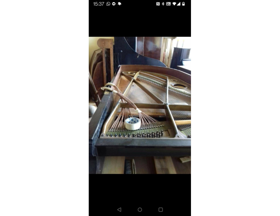 IMG 20230201 WA0009