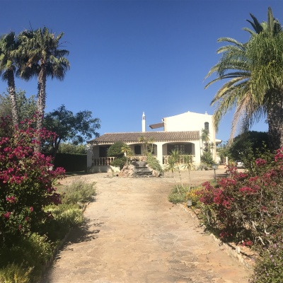 IMG 0717