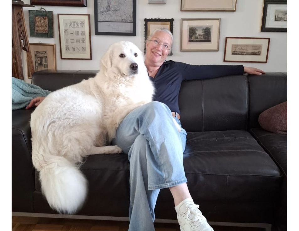 fc6ef02a ec4e 4f2a a8d0 a0d7552a566e