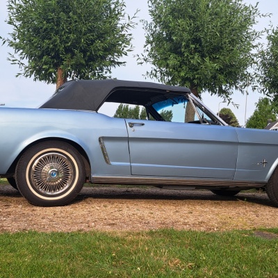mustang 1