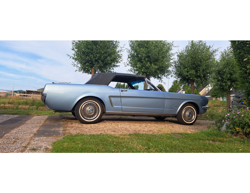 mustang 1
